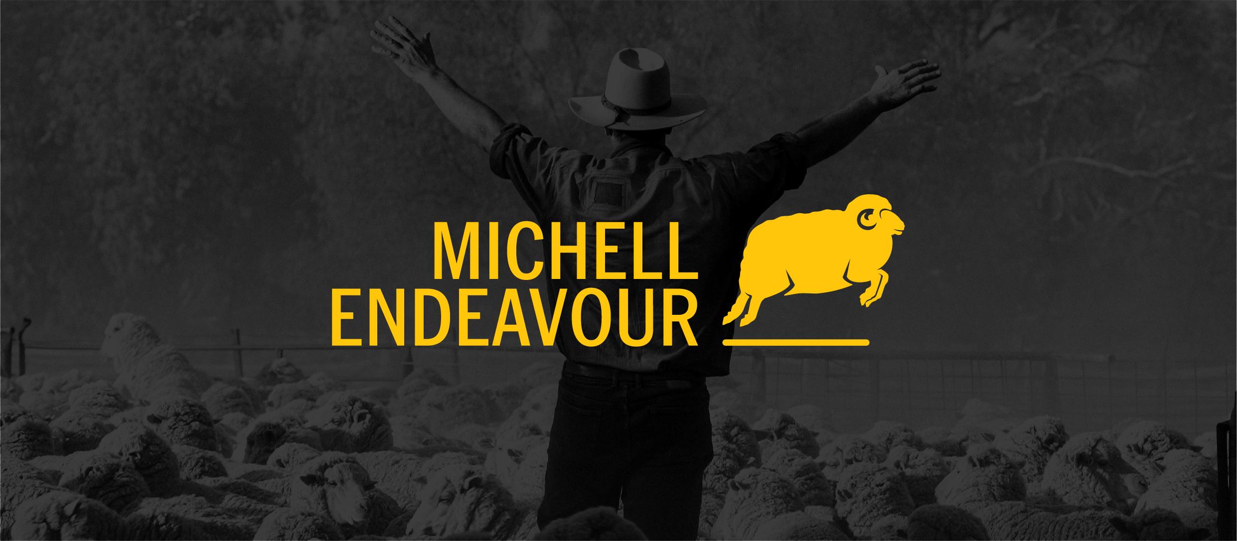 Michell Endeavour
